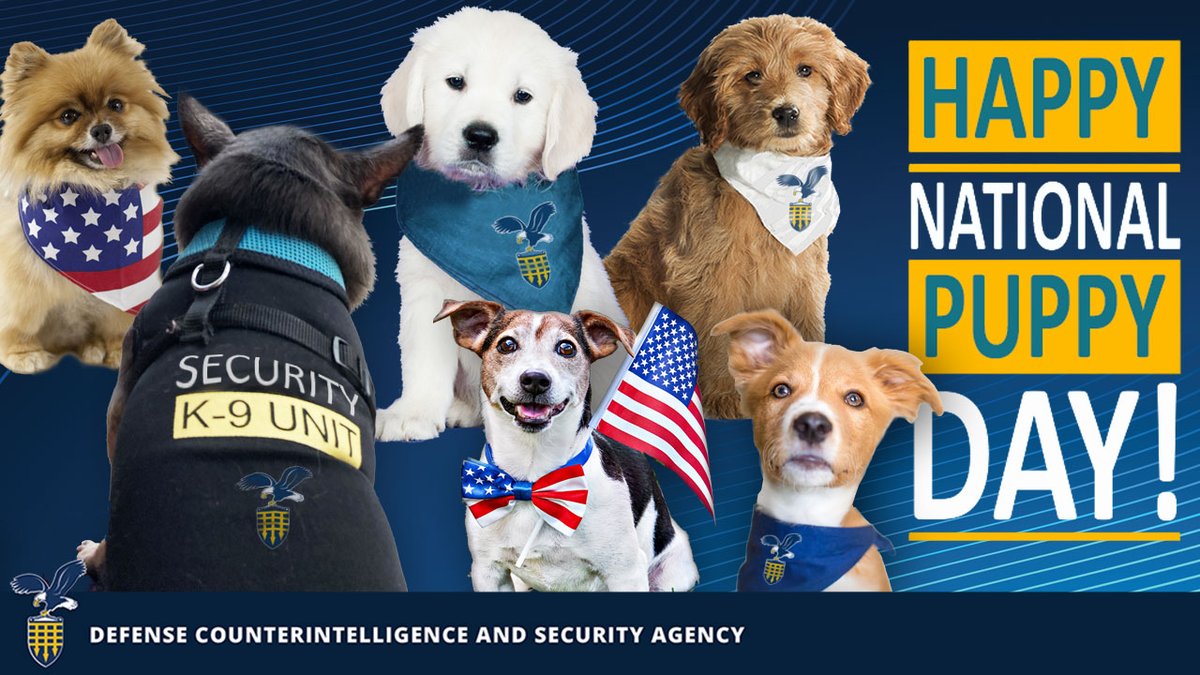 Here’s to all the DCSA guard dogs protecting our most critical assets — our employees! #NationalPuppyDay. https://t.co/0gcrxw2w4Q