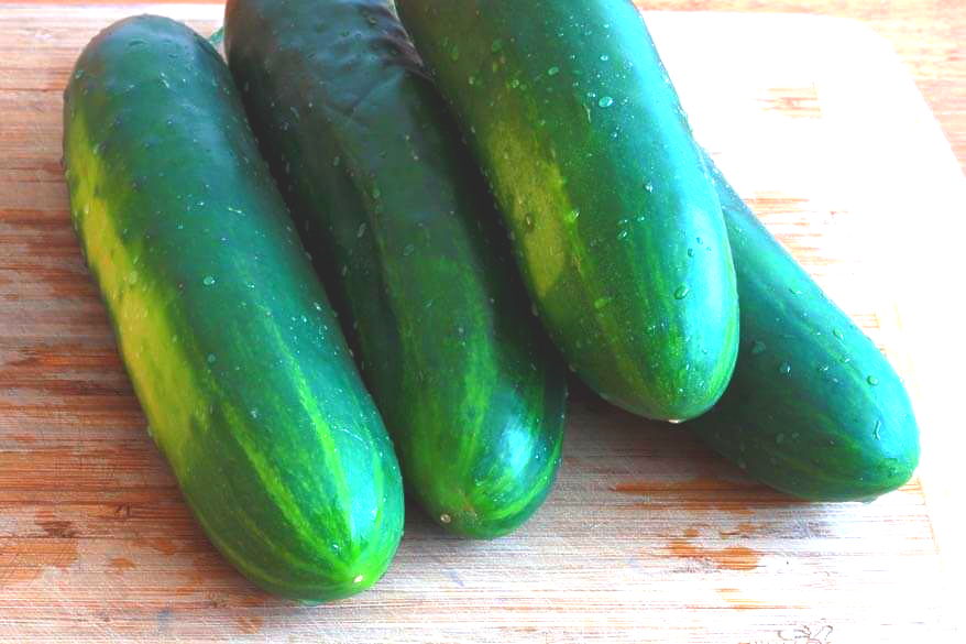 PilpelForPeople's tweet image. Here is how to grow #cucumbers to pickle! @wikiHow #Howtogrow 
bit.ly/2HmZ59U