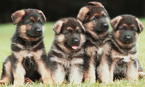 irontrax tweet media