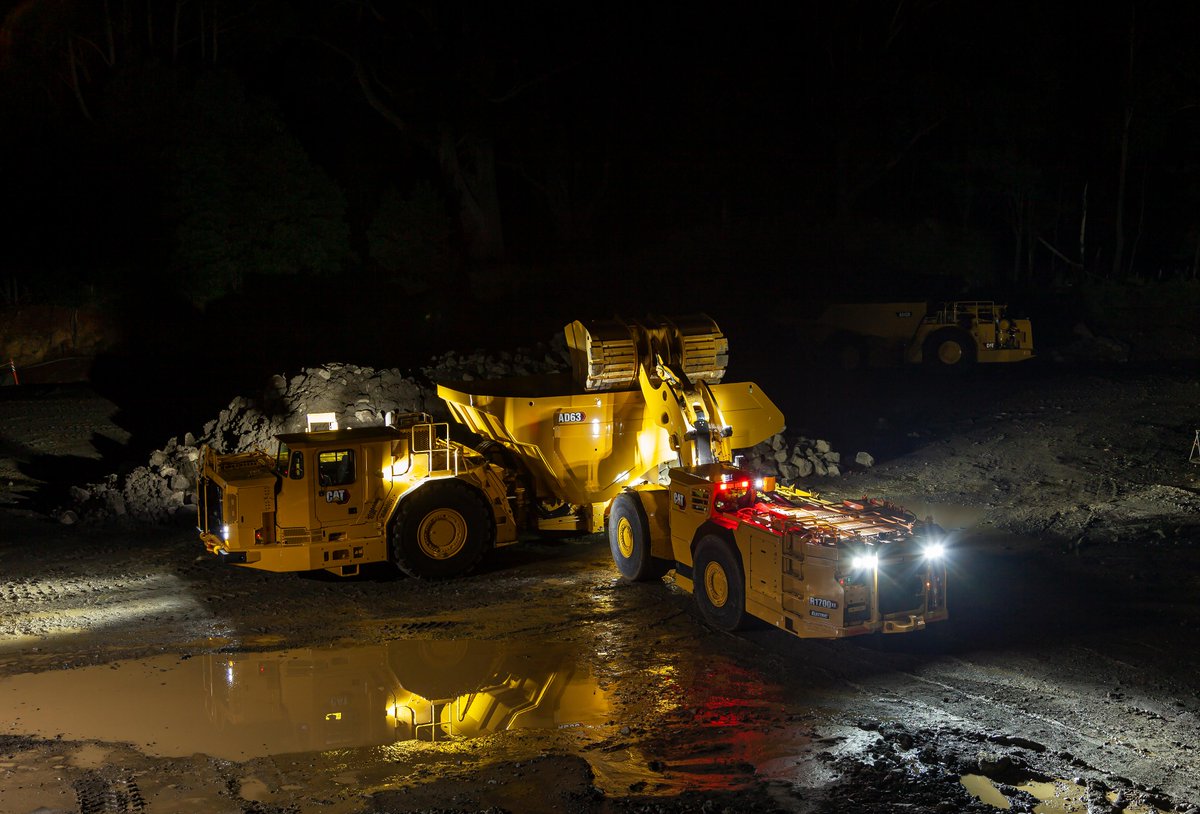 Cat Mining tweet media