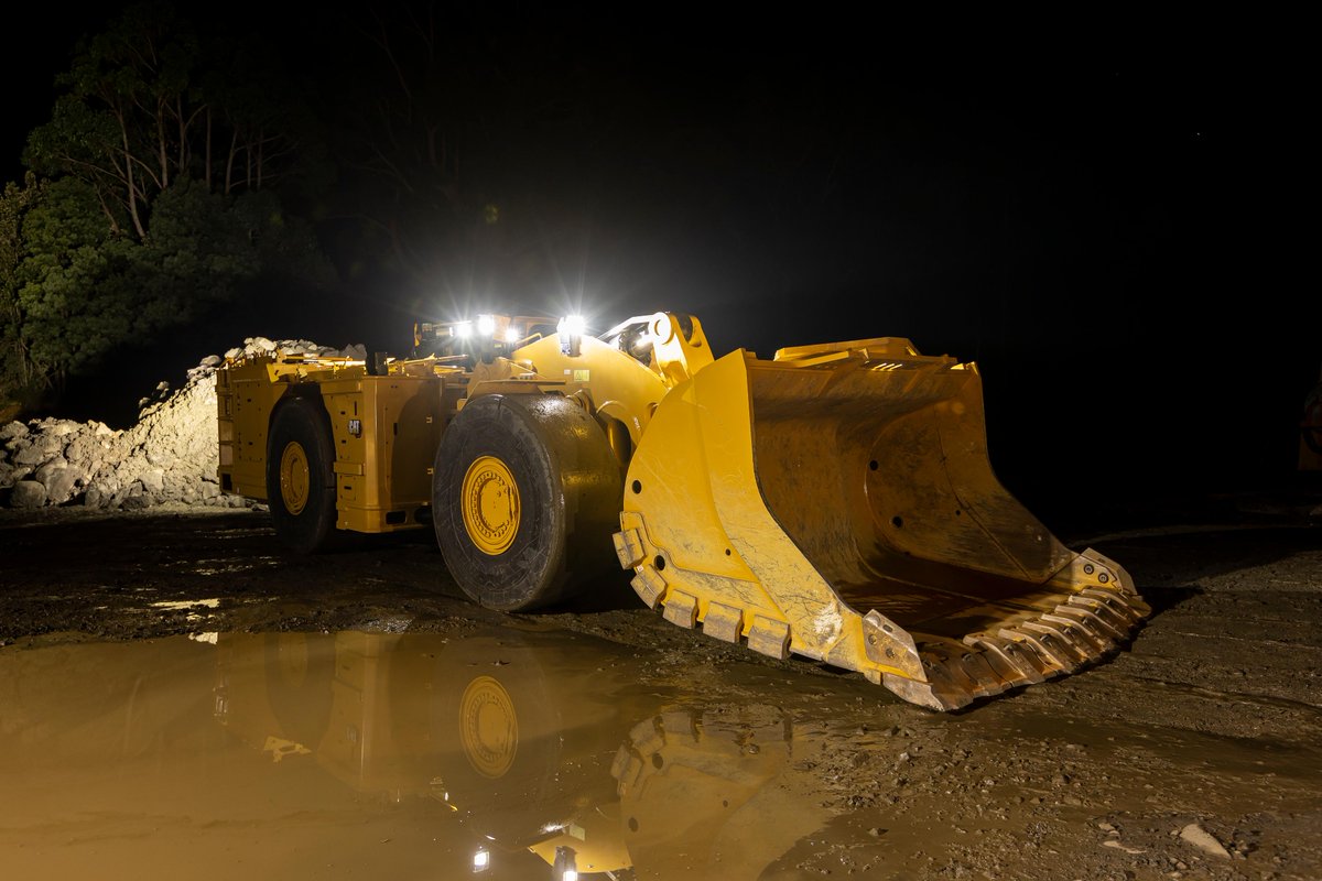 Cat Mining tweet media