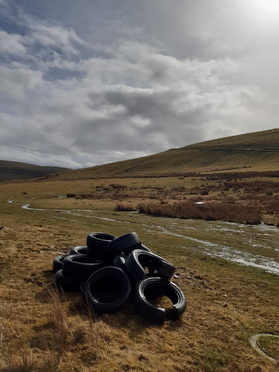 Comin Cydweithredol - Common Connection tweet media