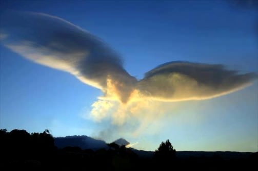 Alberto63Al's tweet photo. I cieli narrano la Gloria di Dio e l'opera delle sue mani la rivela la volta celeste... ma senza Lingua né Parola, la loro voce non si può udire.

Salmo 19

#IlPesoDelleParole #SalaLettura https://t.co/1WPKrFhfTv