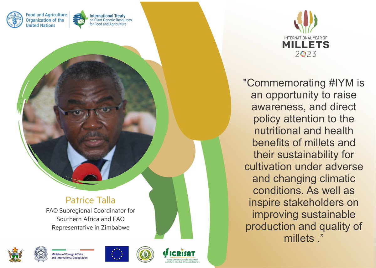 Commemorating #IYM is an opportunity to raise awareness, and direct policy attention to the nutritional and health benefits of millets and their sustainability for cultivation under adverse and changing climatic conditions.' ~ @PatriceTalla @planttreaty

#ItAllStartsWithTheSeed