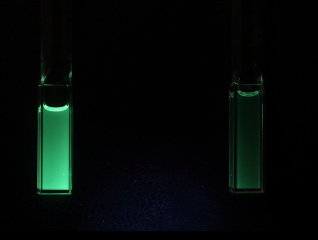 EZ-C Group tweet media