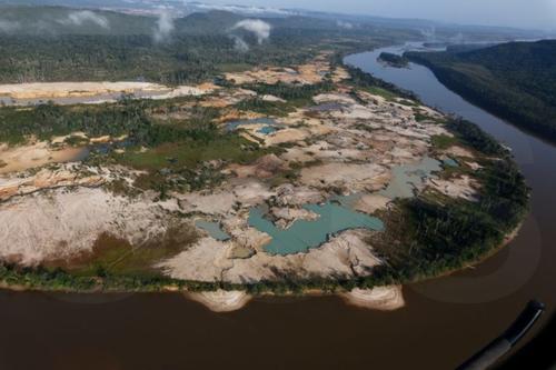 Venezuela: plus de 790 500 hectares de forêt perdus en 20 ans limportant.fr/infos-planete/… #Planète