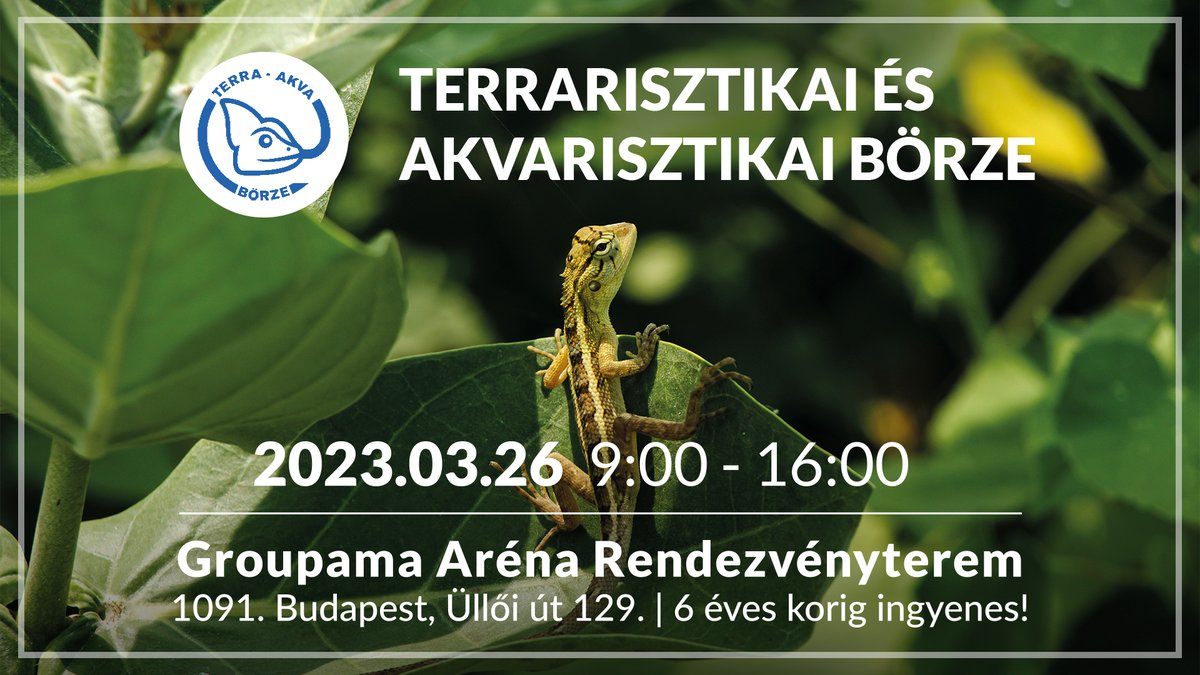 Demonblockk's tweet photo. Vasárnap kerül a megrendezésre a @Terra_Akva börze, melyre a Démonblokk is kitelepül. VR játékokból a Half-Life: Alyx-be lehet belenézni, ezen kívül társasoztatünk. A témának megfelelően állatos társasokat viszünk.
Látogassatok meg benünket a börzén!
#terraakva https://t.co/73uNqYnoy9
