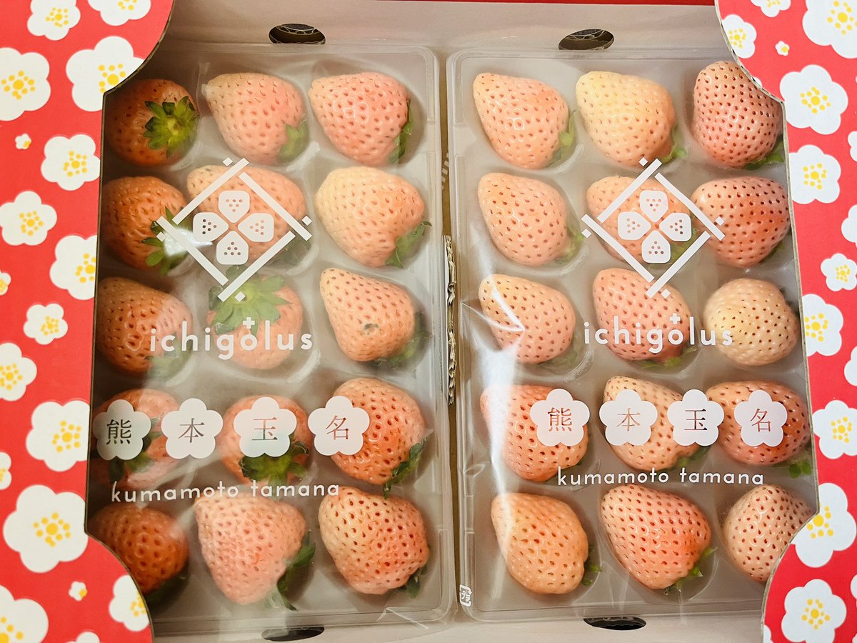 昨夜はレバー美味しかったなぁ🍷
今夜はファンに戴いた、日本酒ベースのレモンリキュール🍋
ロックで美味しい〜
会社に白苺を送って下さった方、ありがとうございます🍓　
フルーツも大好き♪ https://t.co/zjdQw6O33s
