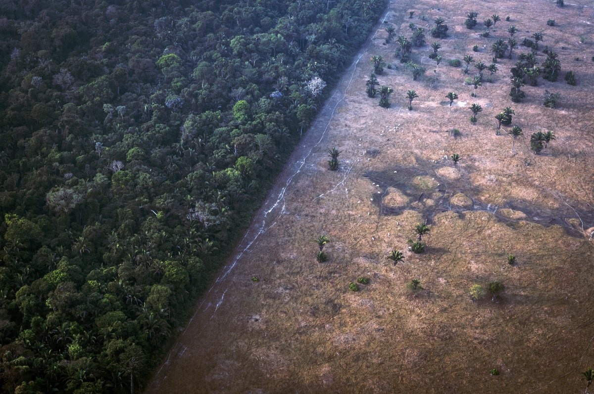 Gallego_Ge's tweet photo. "Usamos la naturaleza porque es valiosa, pero la perdemos porque es gratis" Pavan Sukhdev https://t.co/o2l7HlB90b