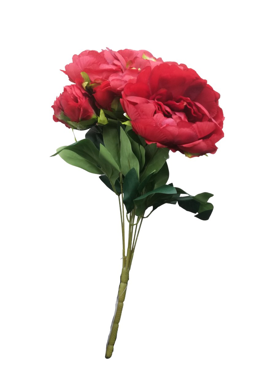 DecobeeIndia's tweet photo. Experience everlasting beauty with Decobee Homes' premium artificial flowers - a perfect touch of nature, without the hassle of maintenance!

Explore other such stunning collections at exciting prices!
https://t.co/XhRqph3DA8 https://t.co/byjPv4Zbnu