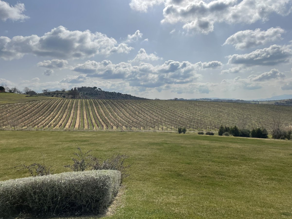 Mosca783's tweet image. C’è di peggio! ☀️🍷