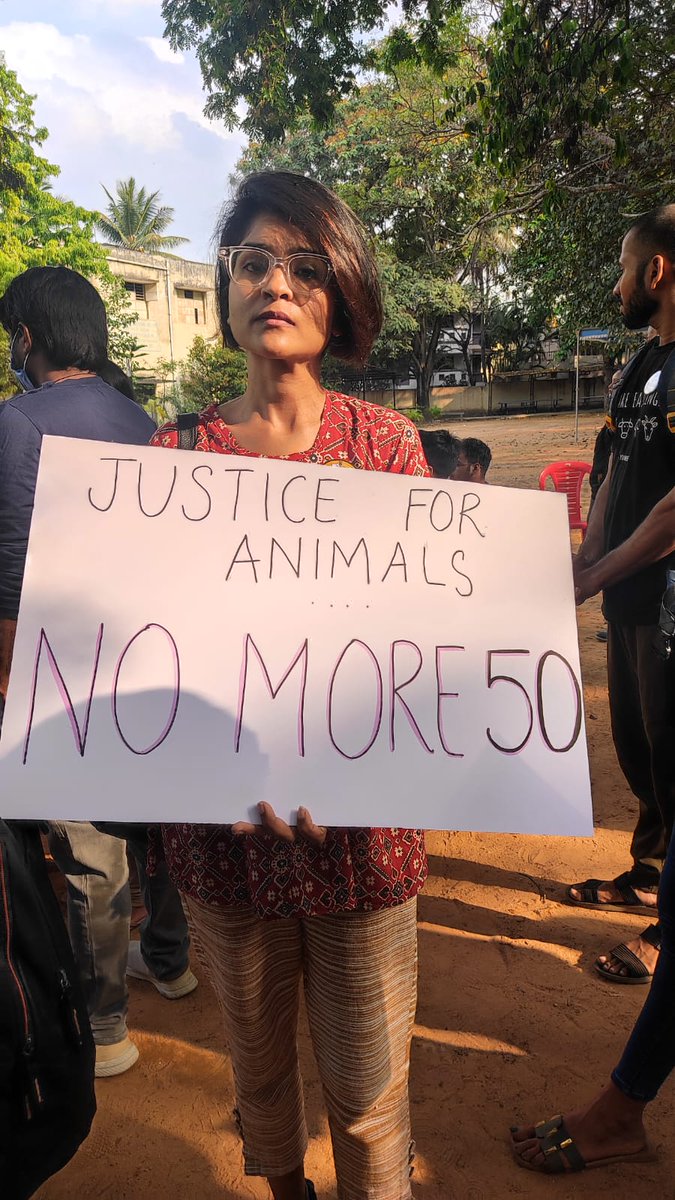 Art_Beee's tweet photo. Citizens demand better legal protection for animals. 
@Narendramodi Please #AmendPCA #NoMore50 

@TheJohnAbraham
 @AnubhavMohanty_
 @dreamgirlhema https://t.co/FABhRZd5Jh