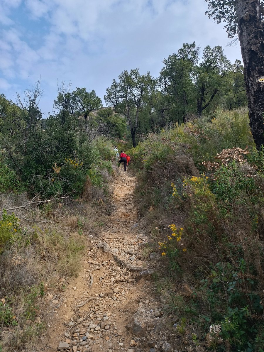 ArpaUea_ICAC's tweet photo. Avui, la #UEA s’ha traslladat als Pirineus orientals per prospectar pedreres de #marbre i augmentar la col·lecció de referència #LEMLA
@ICAC_cat #marmor #arqueometria #arqueologia #pedrera #quarry https://t.co/TMPvDIjvZp