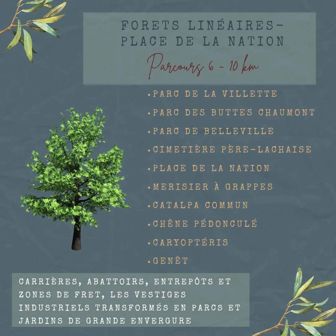 timonetpumbike's tweet photo. 6ème parcours de l'Atlas de la nature dans l'Est Parisien de parcs en parcs 🚴‍♀️🚴🌱
.
.
.
#atlasdelanature #parisfrance #parisfrance #velotourisme #veloaparis #veloaventure #veloparis #igersparis #visitparis #francevelotourisme #velorando #randovelo https://t.co/j9pQhYFE3b