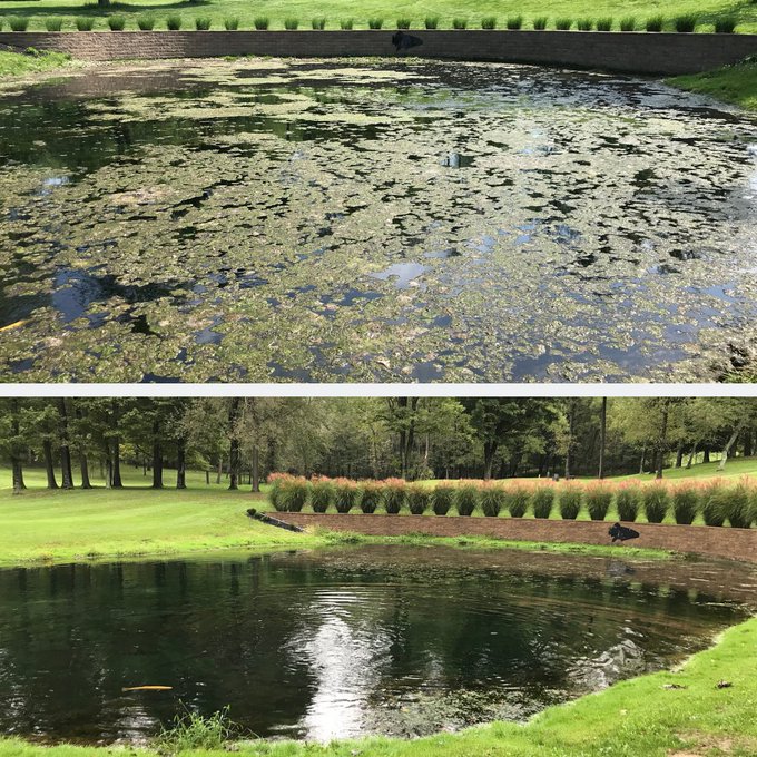 SiteOneGolf Upper Midwest tweet media