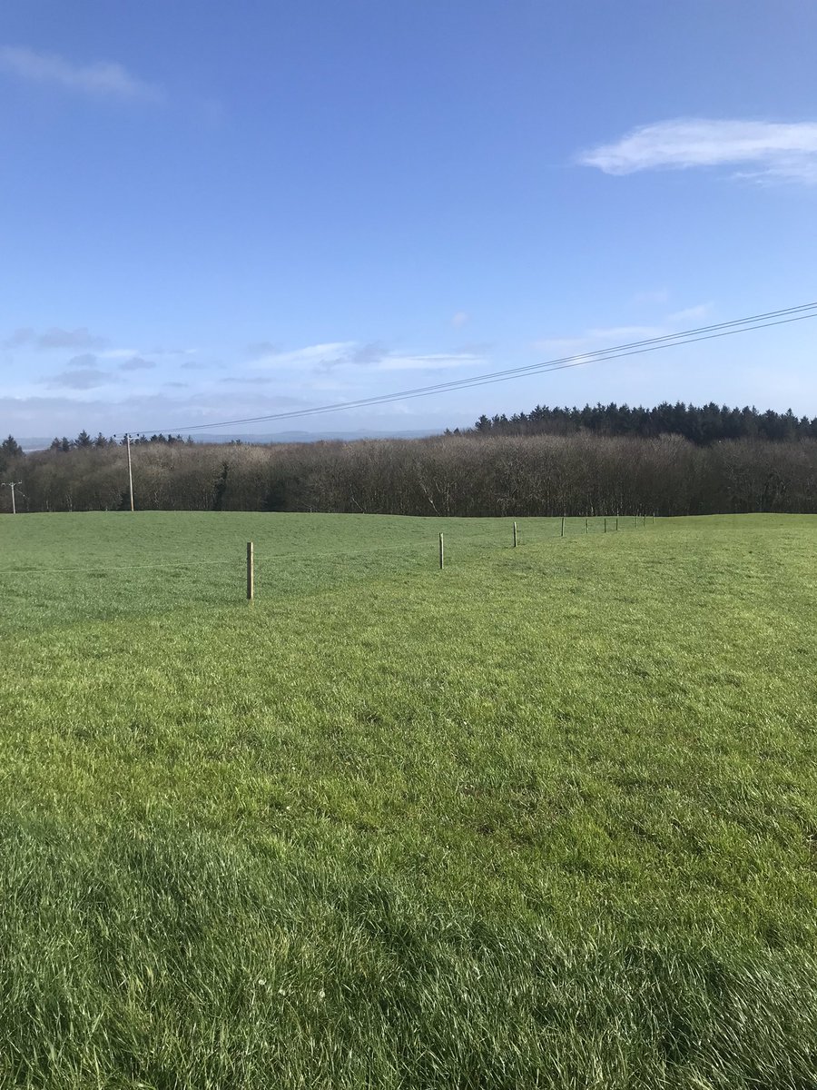 Scott_Service3's tweet photo. 10days ago vs Today. Recovering well. Grass starting to move 🤞🏻 ☀️ https://t.co/JxUeXVA30r