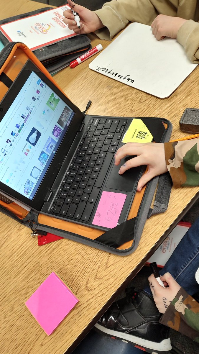 Terri Stauffer tweet media