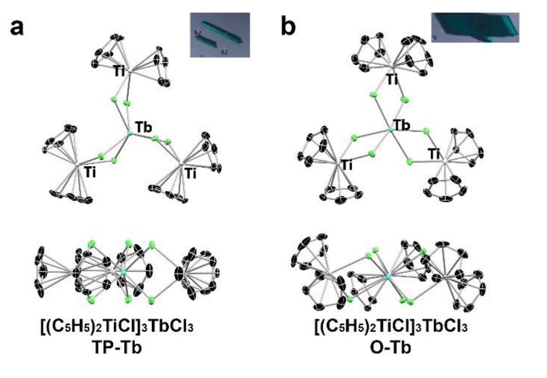 La Pierre Group tweet media