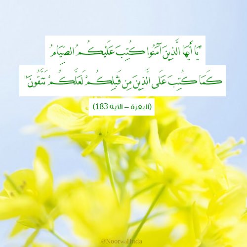 نورٌ وهدى tweet media