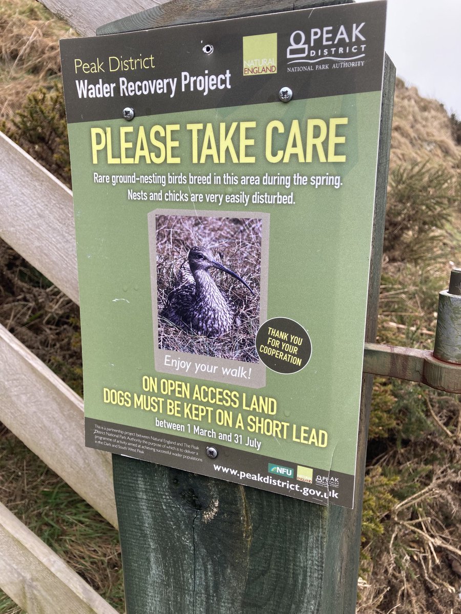 LeonieRedfern8's tweet photo. Great to see these signs out on Staffordshire Moorlands protecting our amazing curlew and other ground nesting birds. Please respect their habitat when you are out walking during nesting season. Thank you π #waders #dogowners #groundnesting https://t.co/IowpQVsxkt