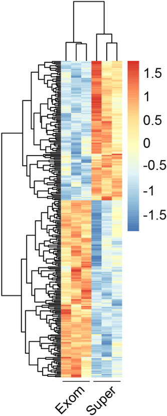 ISEV_Journals's tweet photo. It's time to revisit the #exomere and #supermere exchange between @labwitwer and @Coffey_EGFR from June 2022 in #JExBio! If you haven't read these, make that something you do! Find them both here 👉https://t.co/2bzZA0ecyC #OneYearinJExBio https://t.co/T7ajv5Wenp