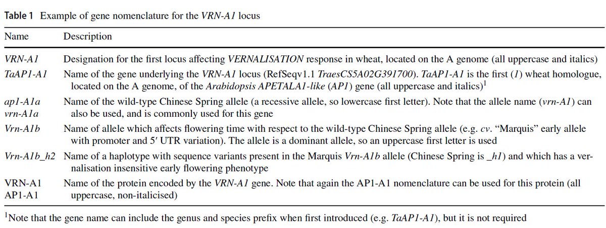 📢📢 UPDATED GUIDELINES to name genes in wheat. Please take the time to go over this. We have provided examples of how to name genes, alleles, haplotypes, SNP markers, etc in the genomics era. A real community effort led by <a href="/sbodes12/">Scott Boden</a> and Bob McIntosh  doi.org/10.1007/s00122…