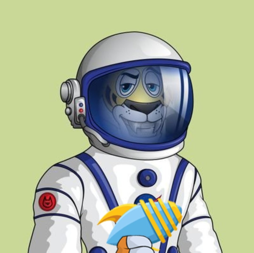 NFT_Taino's tweet photo. @GlassyMusic Suupp faaammm!!!!! Checking in with the #SpaceRaiders from @WildcatAlliance ready, willing &amp; able to listen &amp; learn🤝💯💯🔥🚀 https://t.co/YS2TAX44i5
