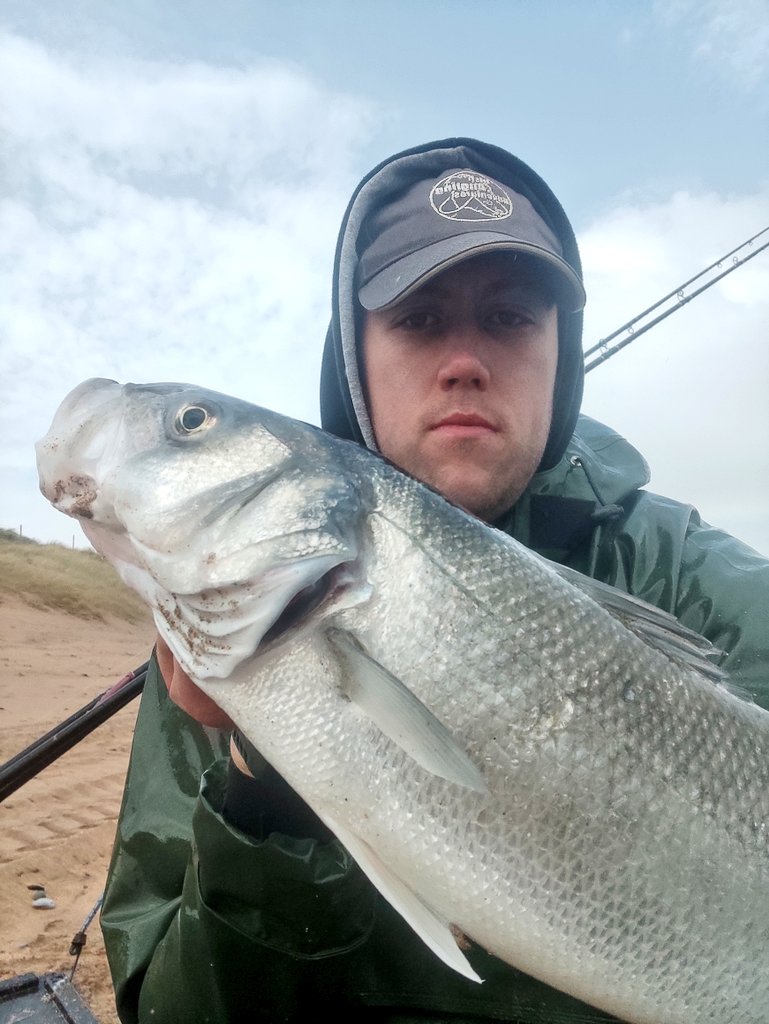 Irish_Angling's tweet photo. Lovely bass taken during a slow days fishing. Taken on a 2/0 loop rig baited with lug casted 20-30 yards out.
#fishing #Ireland #fishingireland #seafishingireland #labrax #bass #bassfishing #wildatlanticway https://t.co/hOvzD2uxeE