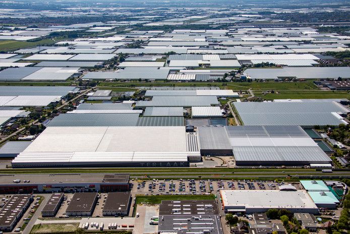 Met BBB hoopt glastuinbouw op praktischer beleid

Met een grotere BBB verwacht de glastuinbouw praktischer oplossingen in overheidsbeleid, ook in het Landbouwakkoord. 

Link naar artikel:
linkedin.com/feed/update/ur…

#glastuinbouw #beleid #verkiezingsuitslag #oplossingen #tuinbouw