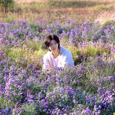 njscenery's tweet photo. spring w namjoon https://t.co/FWOs4cHWyZ