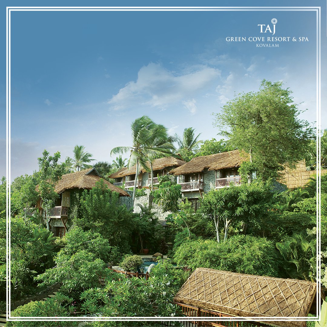 TajCove's tweet photo. Enveloped by lush flora and furnished with plush interiors, our spectacular Balinese villas are a perfect escape into the luxurious lap of nature.
#TajGreenCove #Kovalam #TajHotels #Kerala #PoolVillas #LuxuryHotel #CloseToNature #GodsOwnCountry #Sunsets https://t.co/WWRmJoTmEx