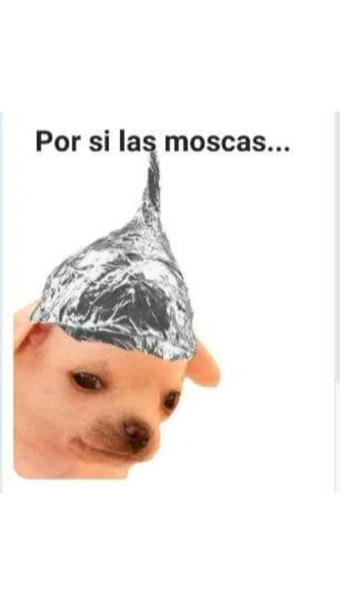 Que pase lo que tenga que pasar 👽🛸🛸🛸👽👽
#Aliens 
#23demarzo