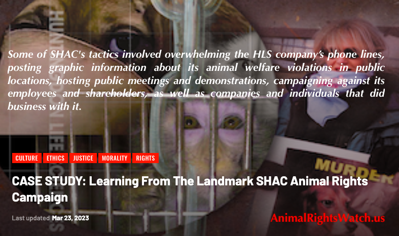 A_R_Watch's tweet photo. #AnimalRights #AnimalLiberation #AnimalJustice #AnimalWelfare #AnimalAgriculture #Speciesism #EmptyCages #EmptyTanks #AnimalTesting #EndAnimalTesting #Veganism #Vegan #GoVegan https://t.co/nF67IREjIu