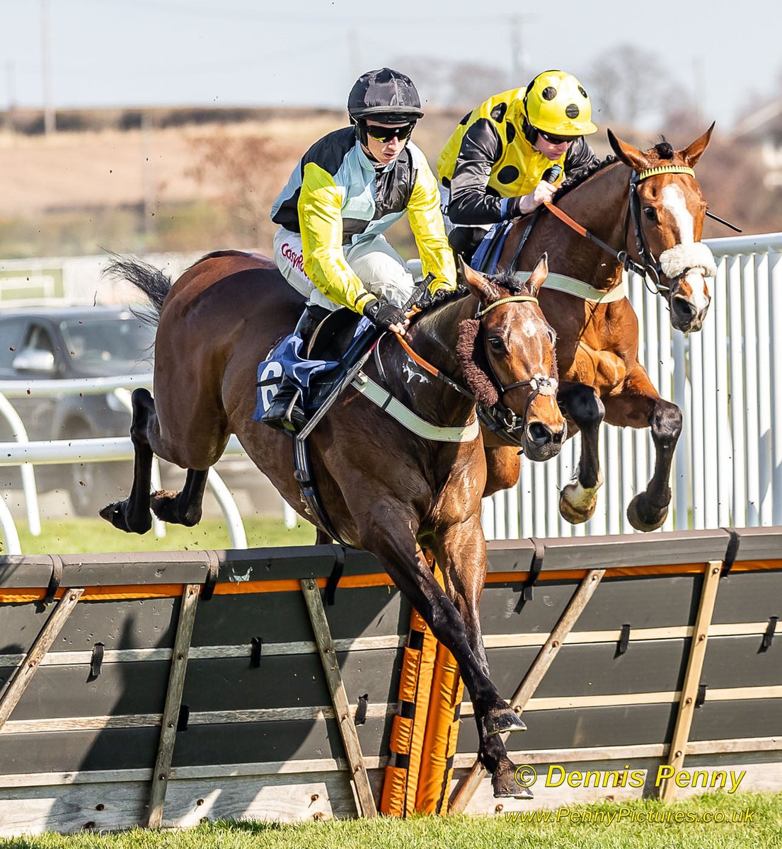 kinneston's tweet photo. And now.. time for #GoNorthWeekend! Read about our runners at Musselburgh Racecourse tomorrow at https://t.co/rqCFJfjBLj https://t.co/VbsrWhmvGT