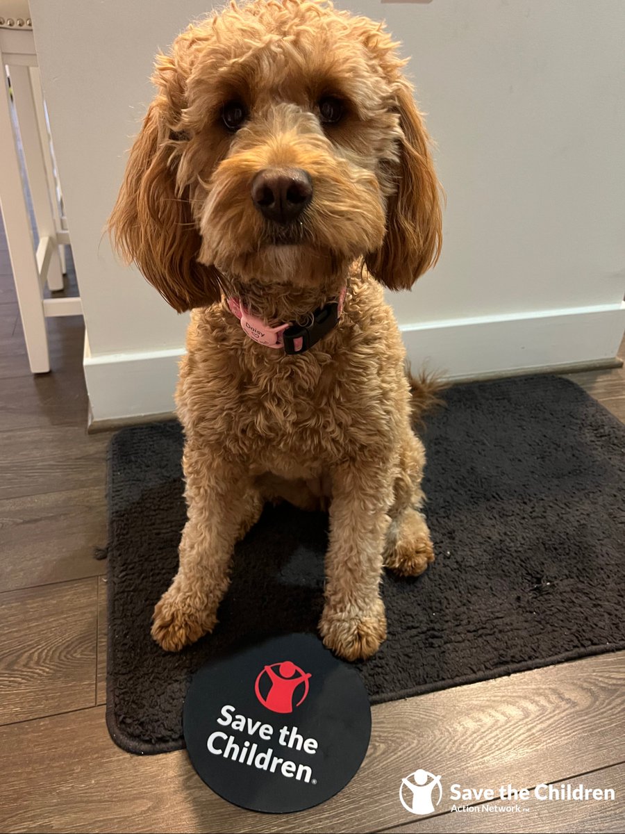 SCActionNetwork's tweet photo. Woof, Woof 🐶 

Here are a few of our favorite companions that never leave our side when it comes to advocating. ❤️ 

#NationalPuppyDay https://t.co/V68iSXLELa
