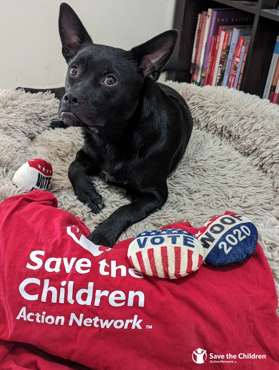 SCActionNetwork's tweet photo. Woof, Woof 🐶 

Here are a few of our favorite companions that never leave our side when it comes to advocating. ❤️ 

#NationalPuppyDay https://t.co/V68iSXLELa