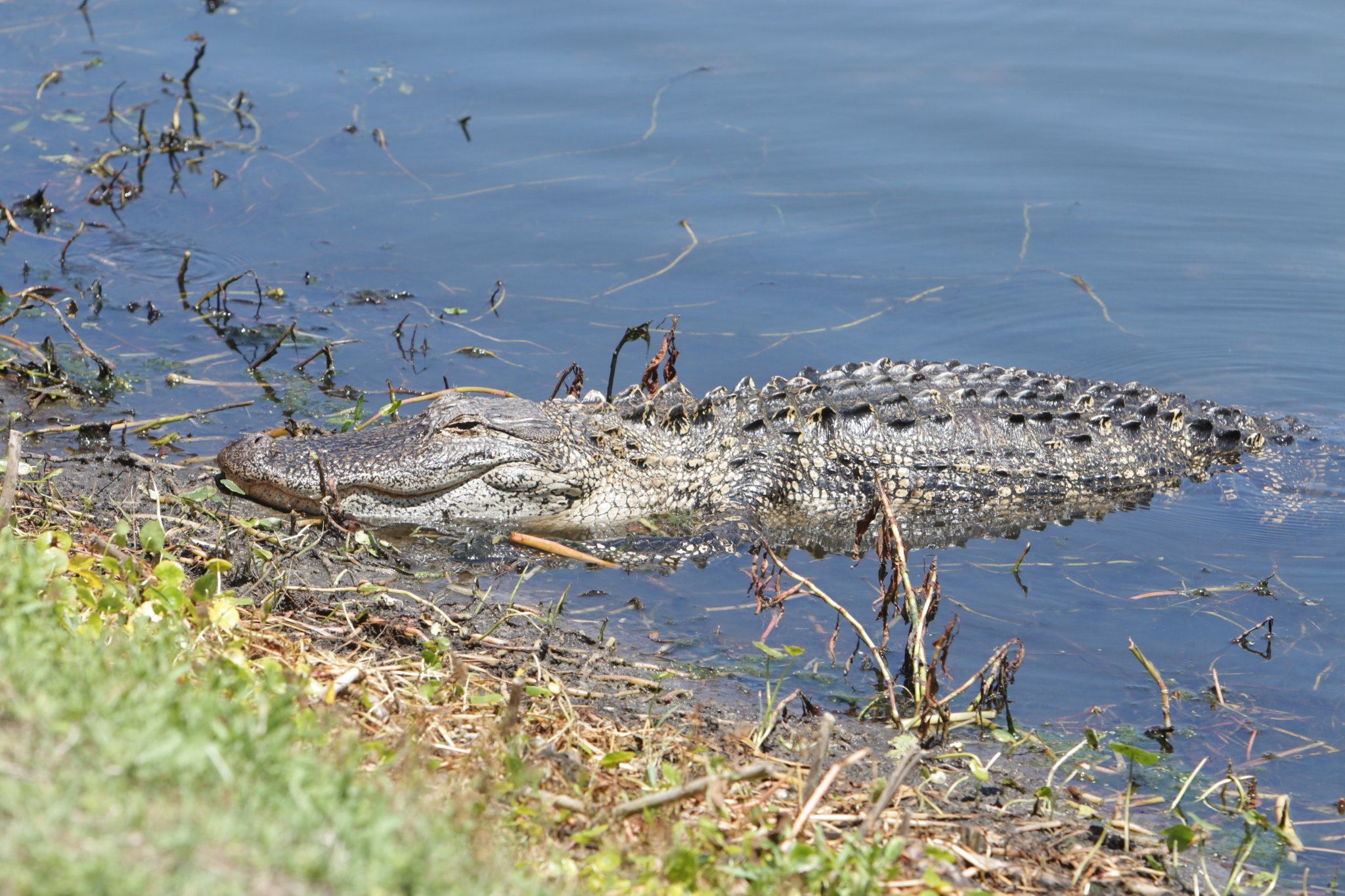 Wilmington, NC subscribe to our newsletter! on Twitter