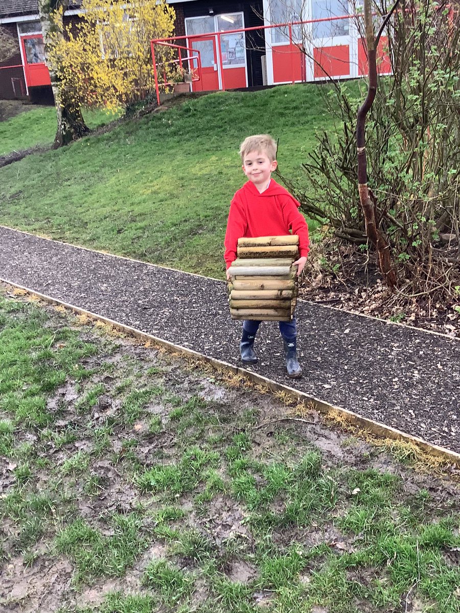 This week as part of out Spring clean, <a href="/GPSHolly/">Gillibrand Holly Class</a> and <a href="/GPSBeech/">Gillibrand Beech Class</a> have been representing our school value ‘Pride In Our School’ by tidying and gardening in the school grounds <a href="/Gillibrand_Sch/">Gillibrand Primary School</a> <a href="/gillhead25/">Ashley Clayton 🙋🏻‍♀️</a> 🌿🌻🌸