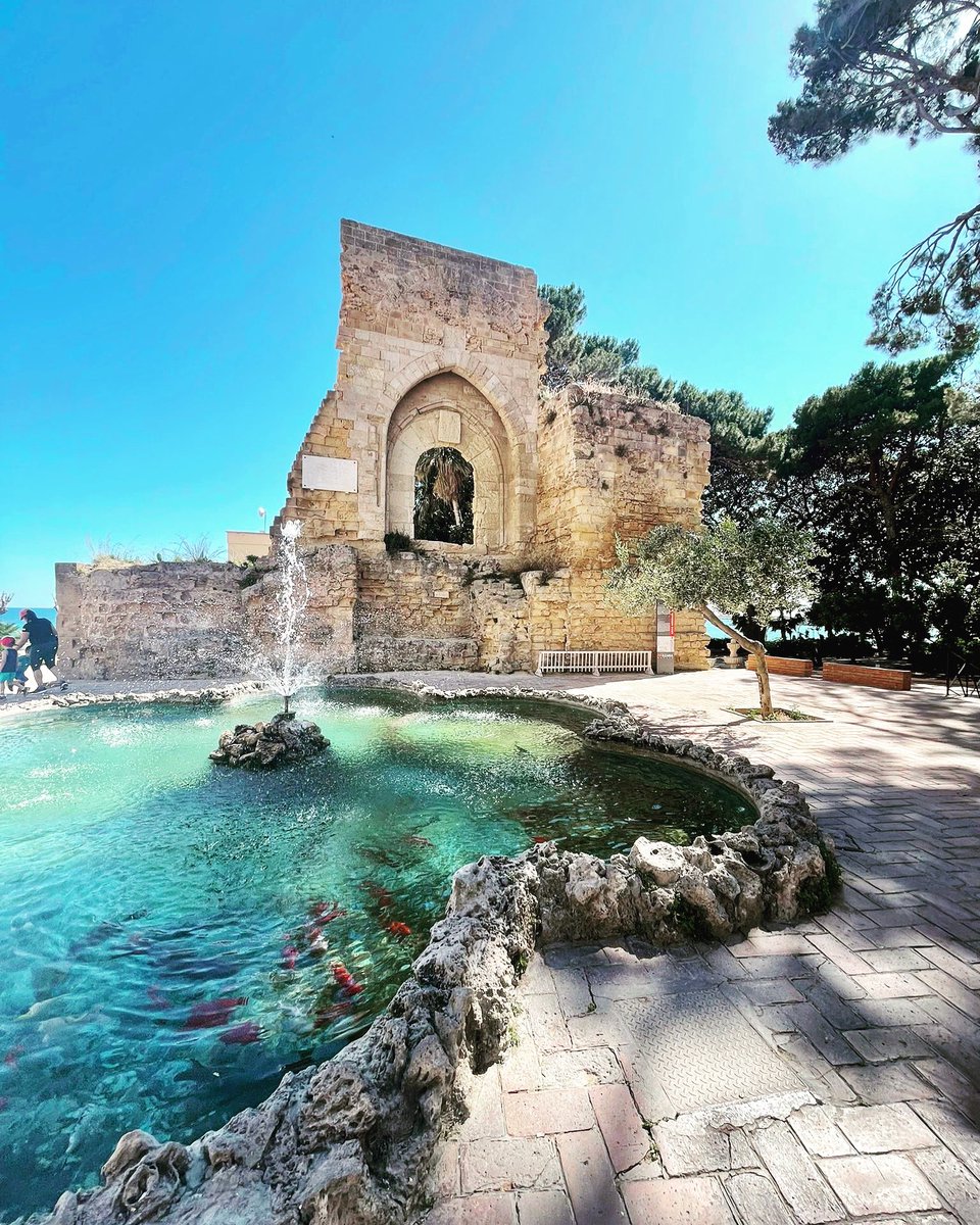 L'arco Normanno, uno dei monumenti più fotografati di Mazara del Vallo 🐠
.
.
#sunsetterracemazara #mazaradelvallo #casavacanze #trapani #palermo #holidayhome #holidayrental #sicily #ig_sicily #sicilia #siciliabedda #sicilien #italy #sicilian #siciliaoccidentale #vacanzeitaliane