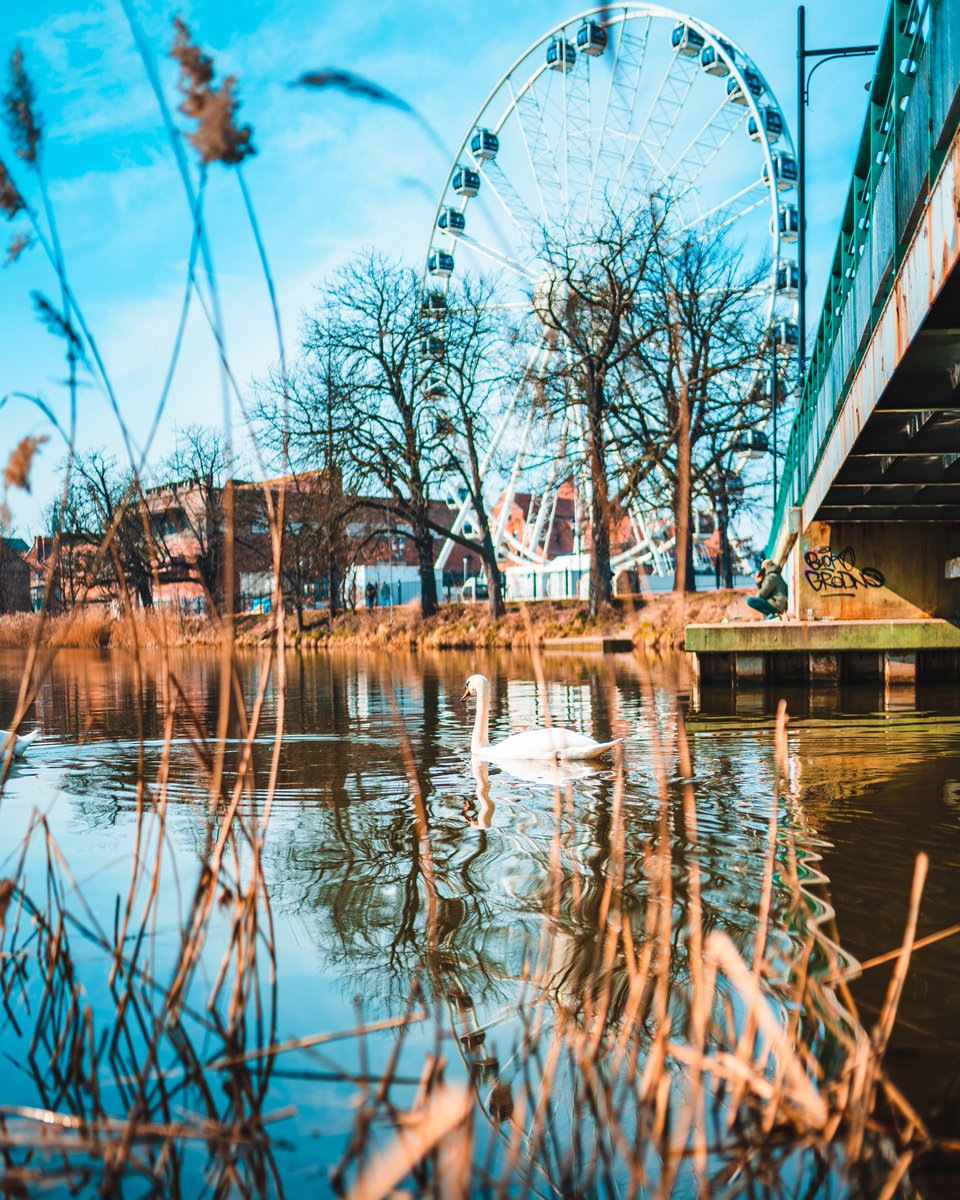 gdansk's tweet photo. Płyną do Was pozdrowienia z najpiękniejszego miasta na świecie! 💦🦢
#gdask #ilovegdn
📸 https://t.co/kA4IpWYuEH https://t.co/7JZbWU8cFg