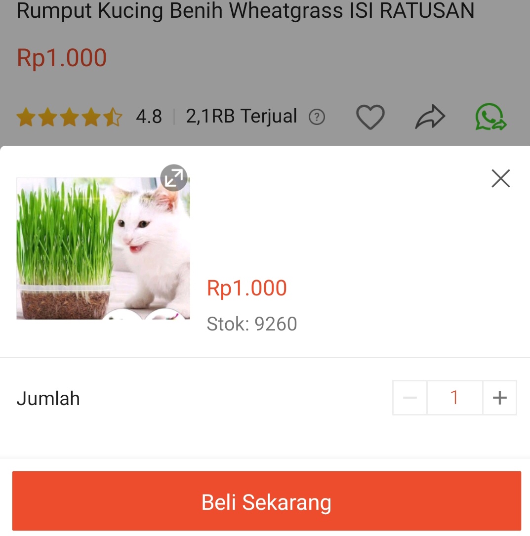cyaxzy's tweet photo. SHOPEE KENAPA KAMU KOK ERROR DI SAAT AKU MAU CO SIH???🤩🗿
BANTU DONG MIN @ShopeeID fix that! Muat ulang 1000x kaga bisa-bisa

??? #shopee #ShopeeID 
#shopeeerror #error Shopee error ga bisa CO https://t.co/zp3QSNPSUU