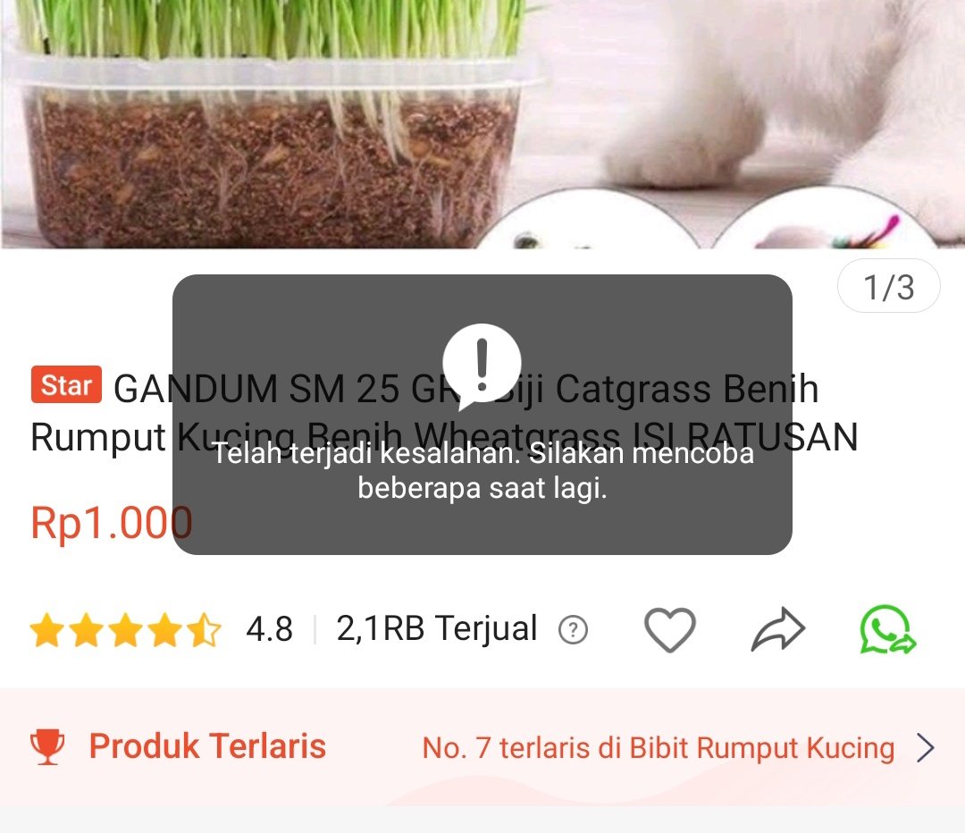 cyaxzy's tweet photo. SHOPEE KENAPA KAMU KOK ERROR DI SAAT AKU MAU CO SIH???🤩🗿
BANTU DONG MIN @ShopeeID fix that! Muat ulang 1000x kaga bisa-bisa

??? #shopee #ShopeeID 
#shopeeerror #error Shopee error ga bisa CO https://t.co/zp3QSNPSUU