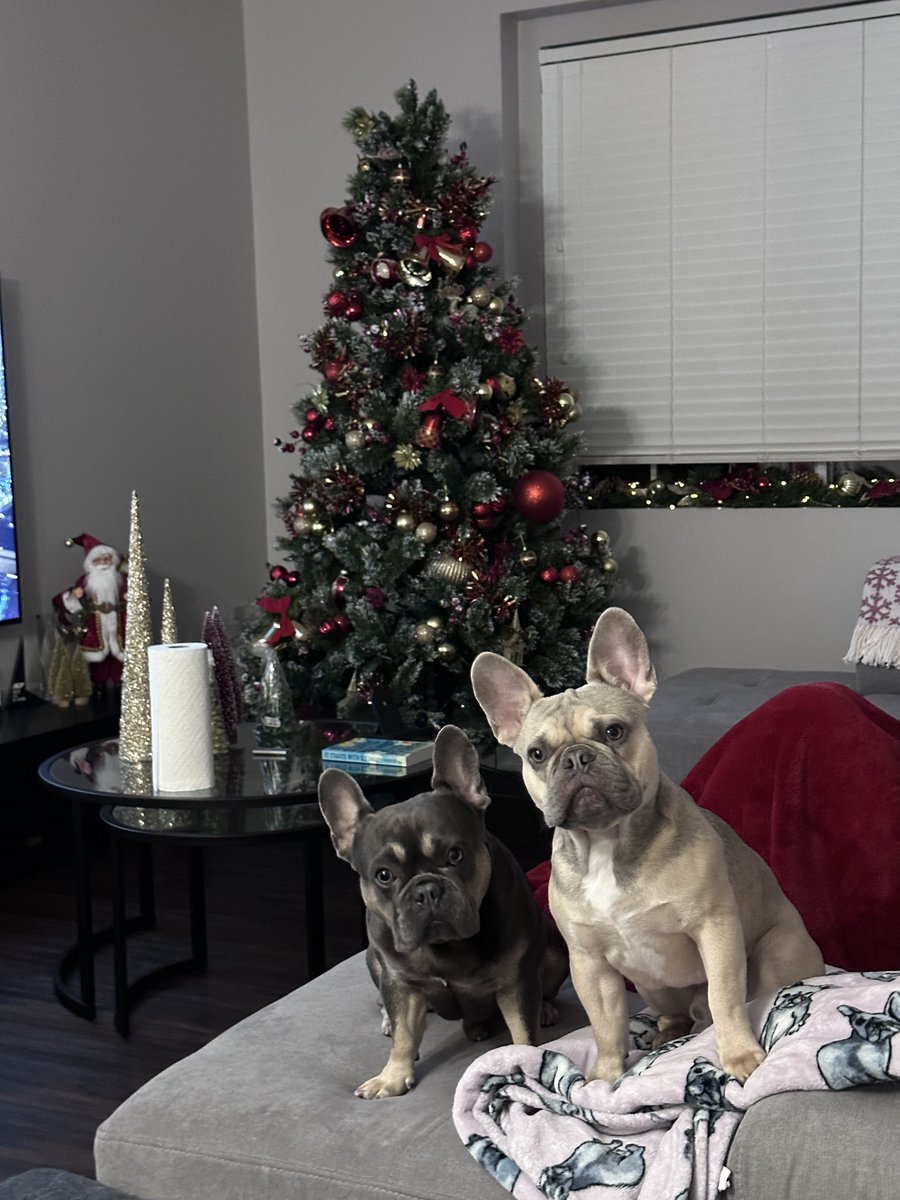 Miguel.RamirezGLM tweet media