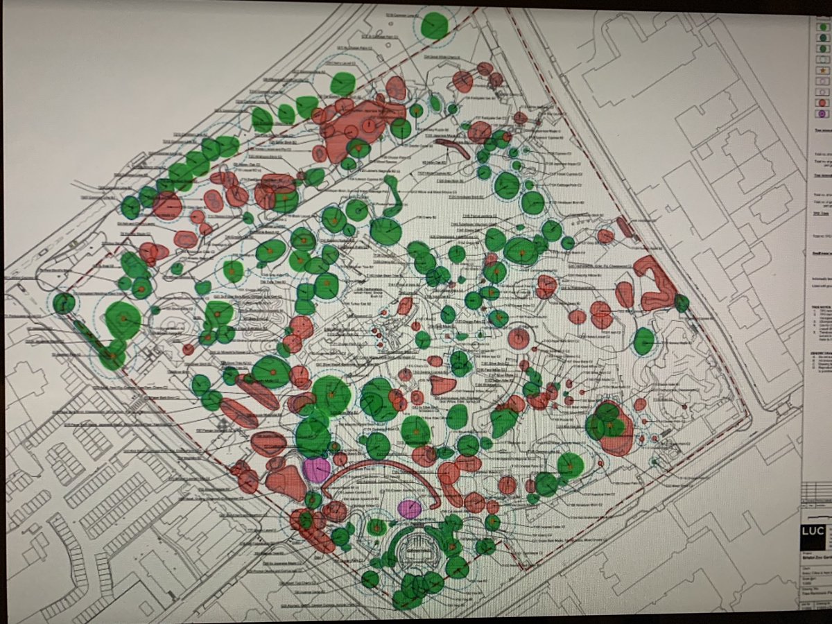 SBZGardens's tweet photo. We support,  @Kate_Bradbury.  In #Bristol, if plans for luxury houses on the historic @BristolZooGdns go ahead, 42% of trees ⬇️ and historic herbaceous borders will be bulldozed. #environmental #vandalism. Petition link in bio 🙏Thank you. https://t.co/9EUuCrwyND