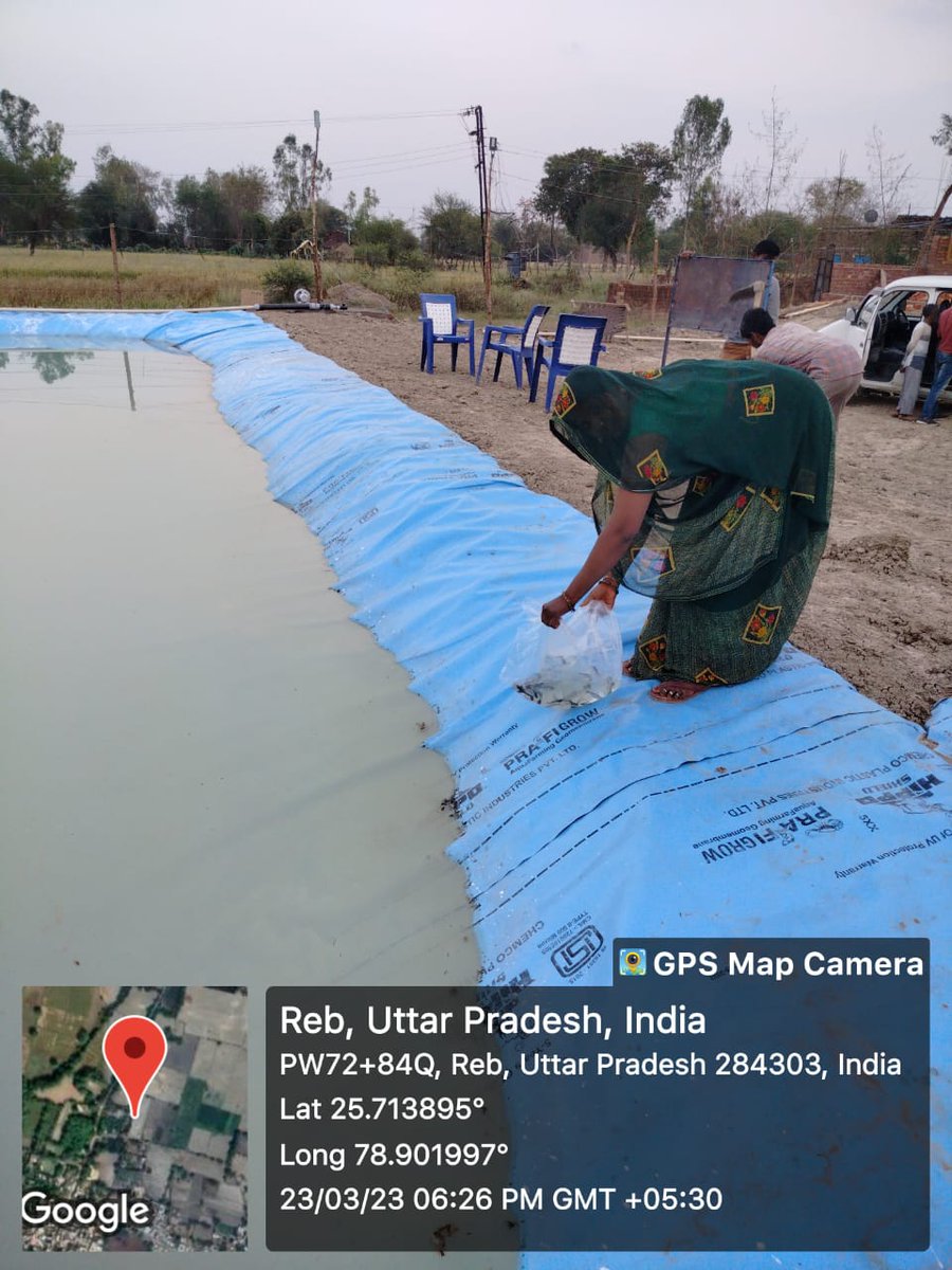 झांसी मंडल के जनपद झांसी में प्रधानमंत्री मत्स्य संपदा योजना अंतर्गत वर्ष 22-23 की  लाभार्थी श्रीमती नीलम देवी निवासी ग्राम रेव तहसील मोठ के द्वारा बायोफ्लॉक तालाब का निर्माण कार्य पूर्ण कराते हुए पंगेशियस मत्स्य अंगुलीका संचय किया गया।