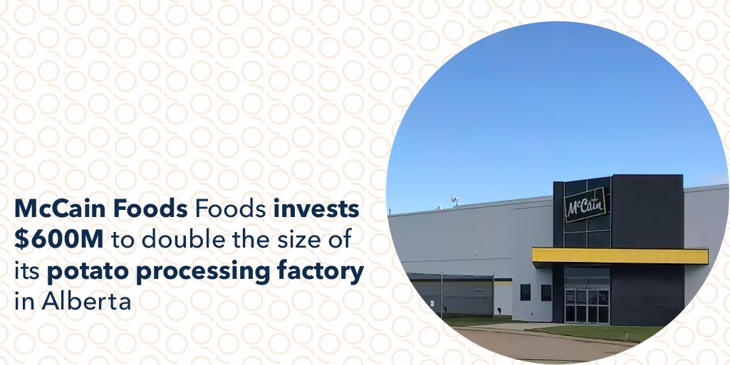 qtalent's tweet photo. Good news for Spuds 🥔 McCain Foods is doubling the size of its facility and output in Coaldale, #Alberta, creating 260 new #jobopportunities in #foodandbeverage. Find what this will means for Canada's #potatoprocessing industry in the comments below 👇 https://t.co/pzMcXoj6qG