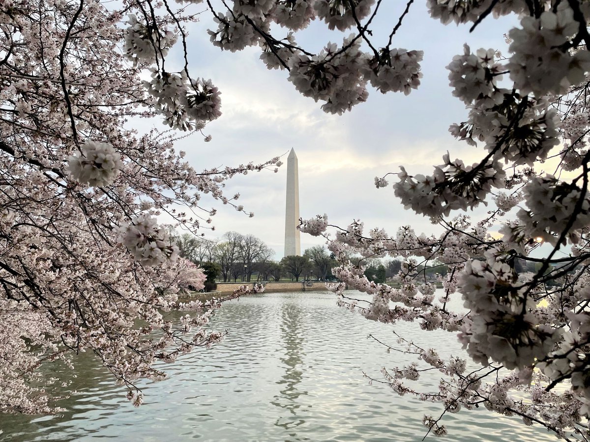 NationalMallNPS tweet picture