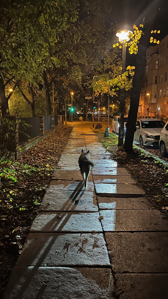 Stefan Niggemeier tweet media