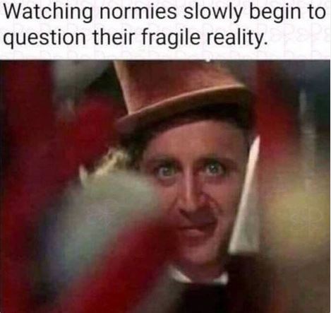 deepset1010's tweet image. 