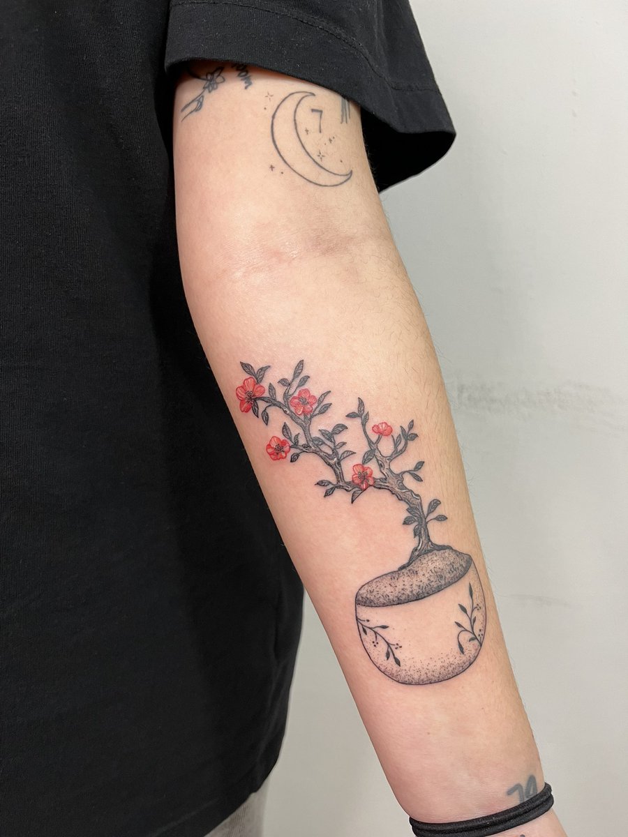 buckyscoups's tweet photo. “every 2 to 3 months, this tiny friend blooms” 🌸 another new tattoo for me on this trip!!!! https://t.co/A8i7wKPGpn